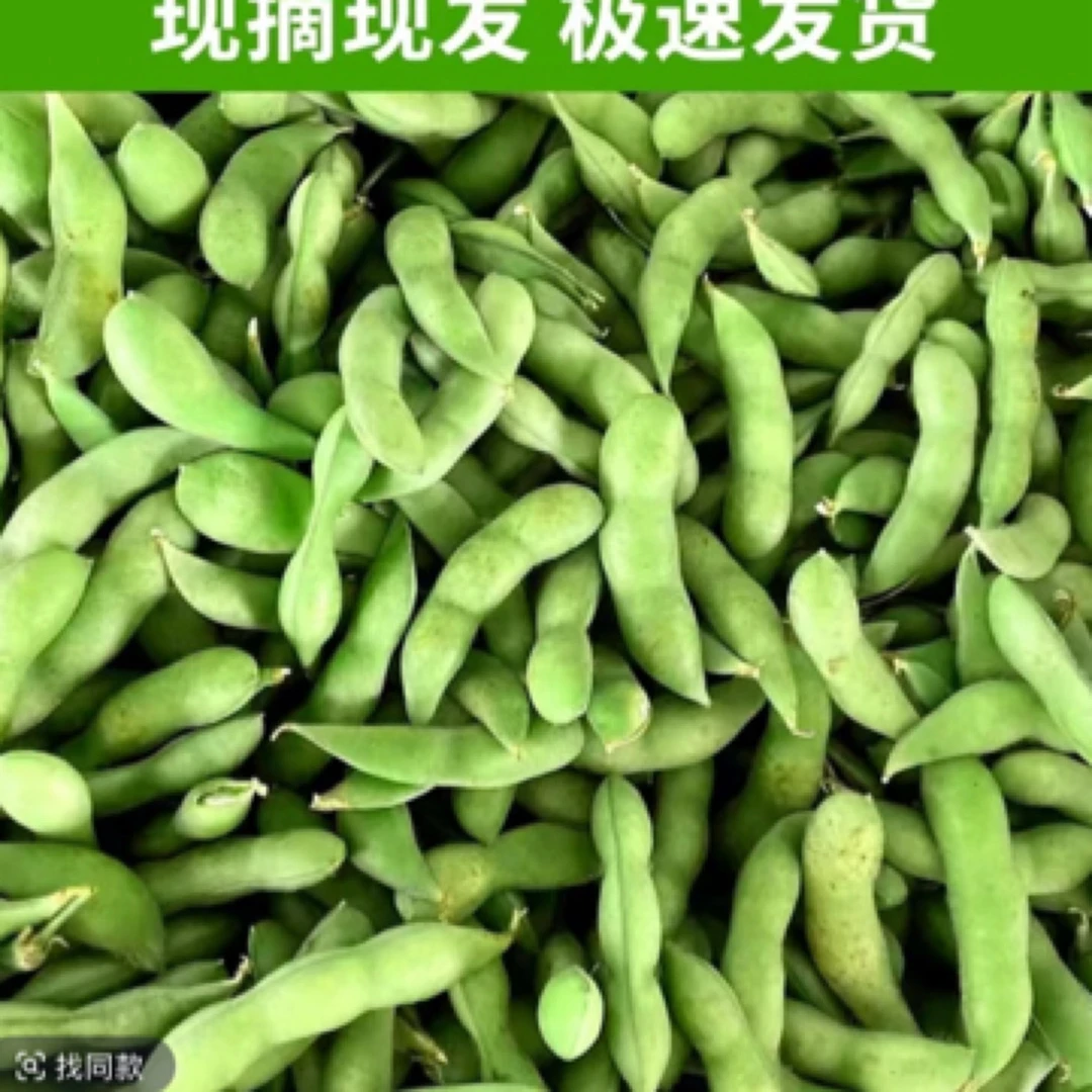 【张班长推荐】新鲜带壳毛豆产地直采农家自种现摘现发