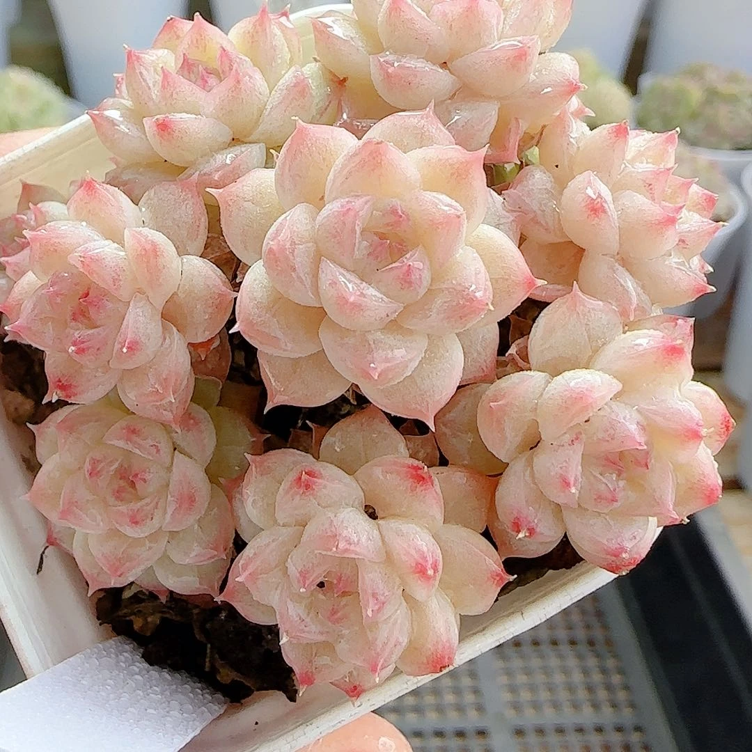 1129-8（ppt-36）优选