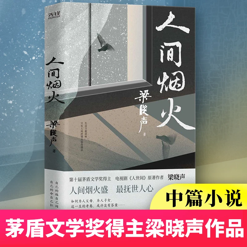 人间烟火 梁晓声第十届茅盾文学奖得主电视剧《人世间》原著小说dd