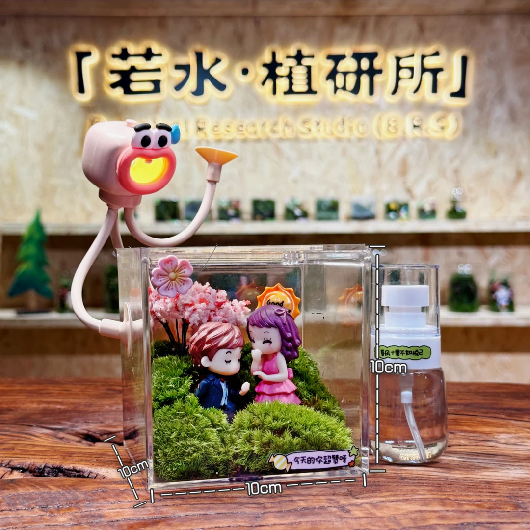 亚克力成品苔藓微景观 治愈系桌面植物摆件 可养角蛙螃蟹送礼礼物