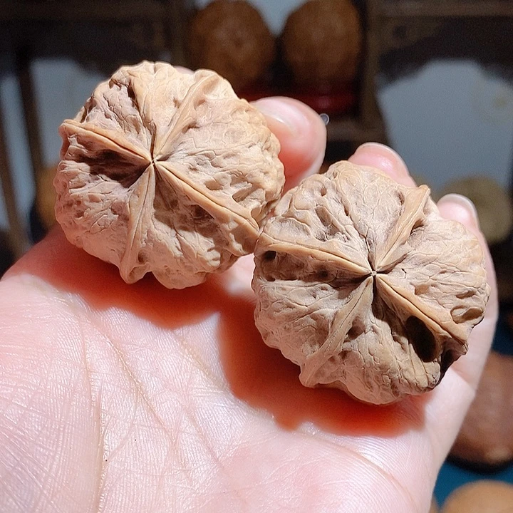 野生云南铁核桃四棱35