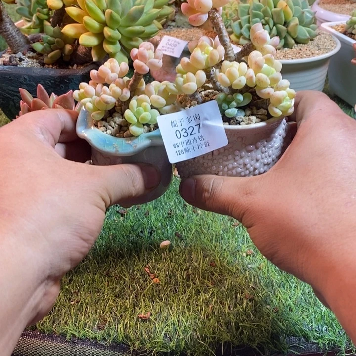 玉***米0327啊啊啊啊啊啊啊啊啊啊