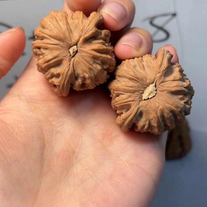 玩***包核桃哈哈哈哈哈我