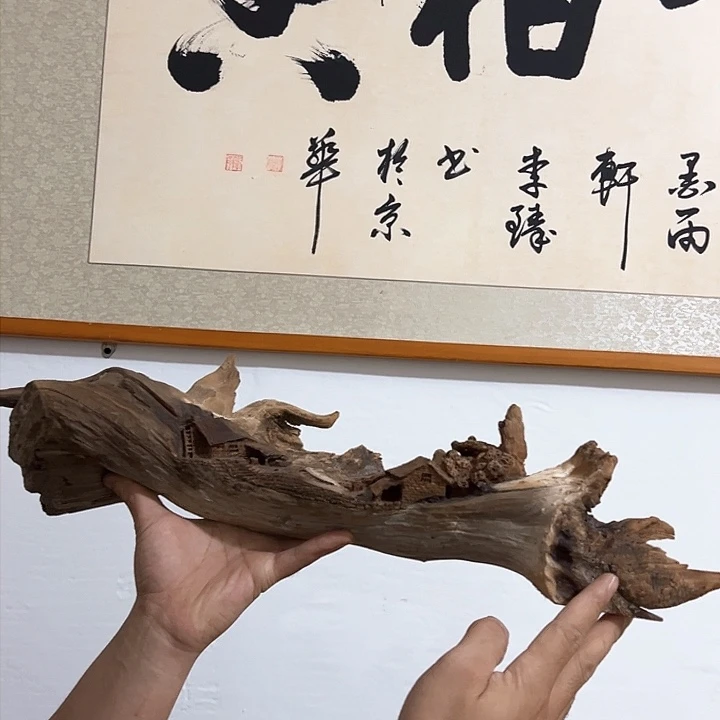 柏木用****0我们的生活也是如此的丰富多彩