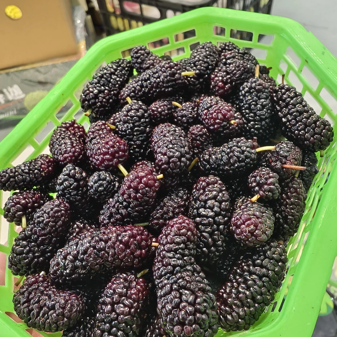 空运新鲜桑葚一盒