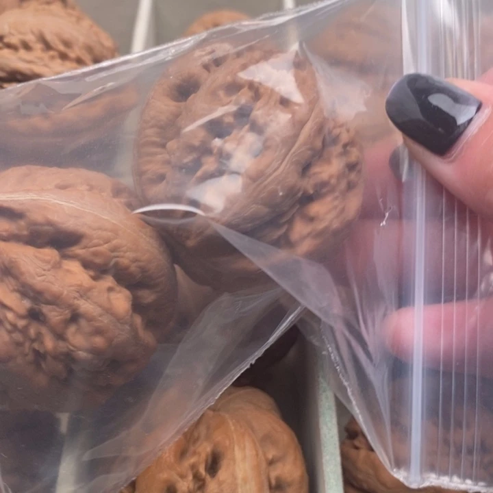 用***8霸王龙全品无修一刀没动