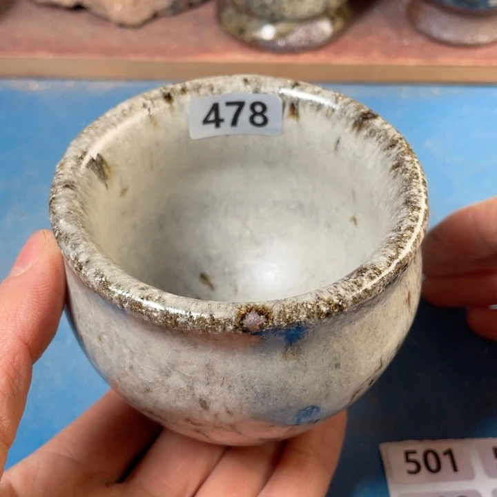 茶宠盏盏灯都是我的爱啊我