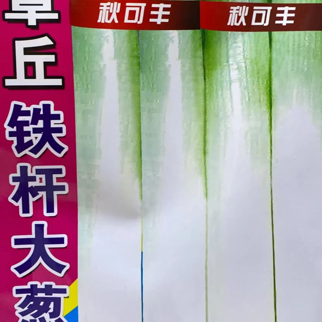 jj章丘铁杆大葱籽今年新种今年新种