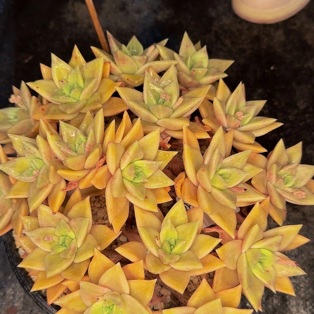 劳*点他哈怕他他爸爸