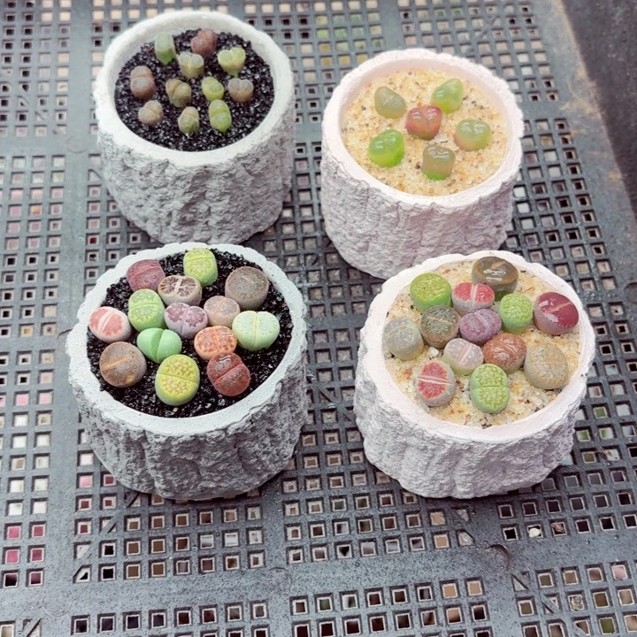 零下地区记得拍保温箱6029