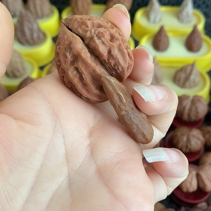 文玩核桃把件生命缘