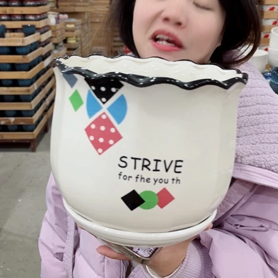 红陶花盆里还有几棵树上