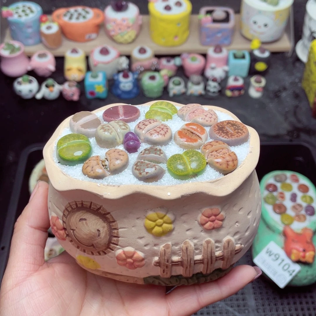 w9105 -零下地区拍保温箱-15支持寄养