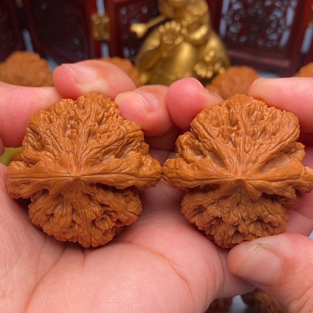 文玩核桃把件43精品毕业粗筋