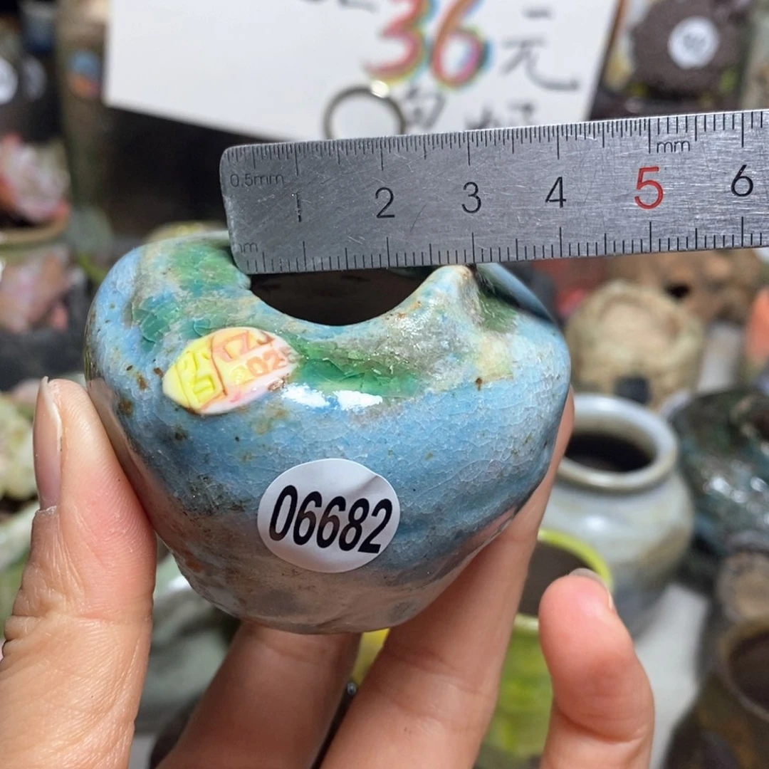 花盆拍3送一个小礼物