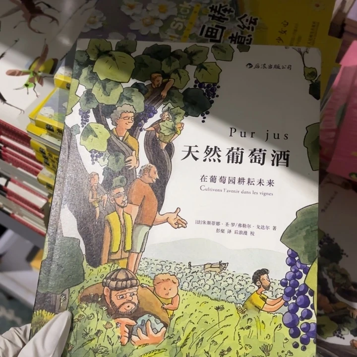 天然葡萄酒闪购师傅18