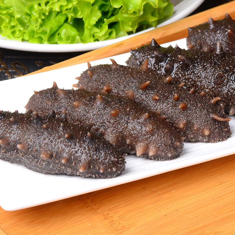 淡干海参黑刺参海参