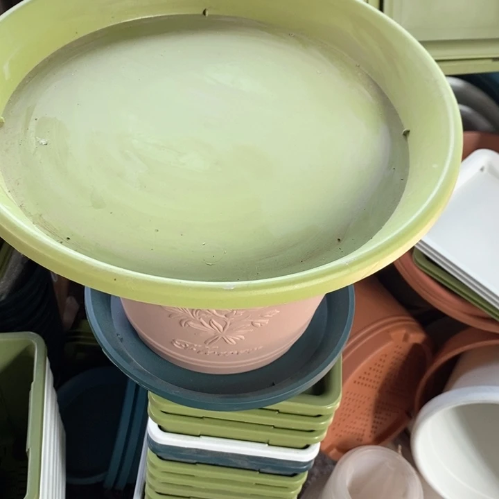 家***娃29口果绿托6个