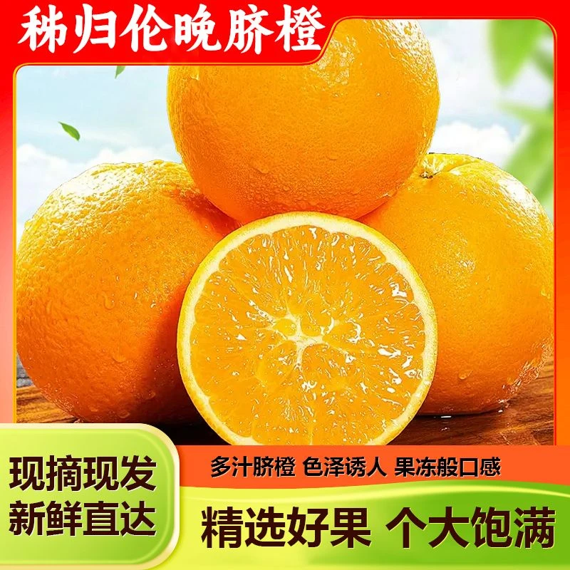 湖北秭归伦晚脐橙自然成熟香甜多汁新鲜水果橙子带箱10斤DY