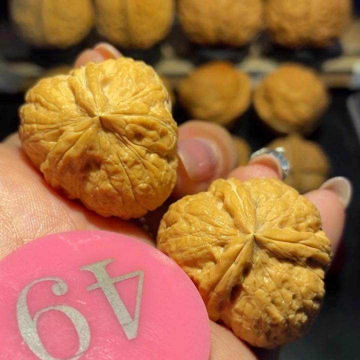 粗筋三棱饭团尺寸33