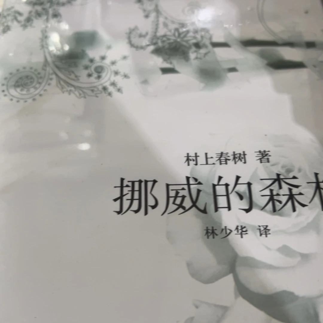 挪威的森林精装一个