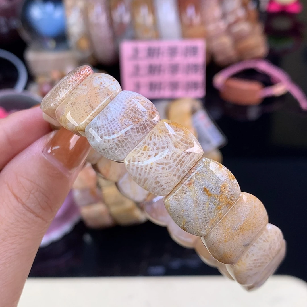 【闪购商品】颈饰未镶嵌硅化珊瑚（珊瑚玉）上新手牌19号