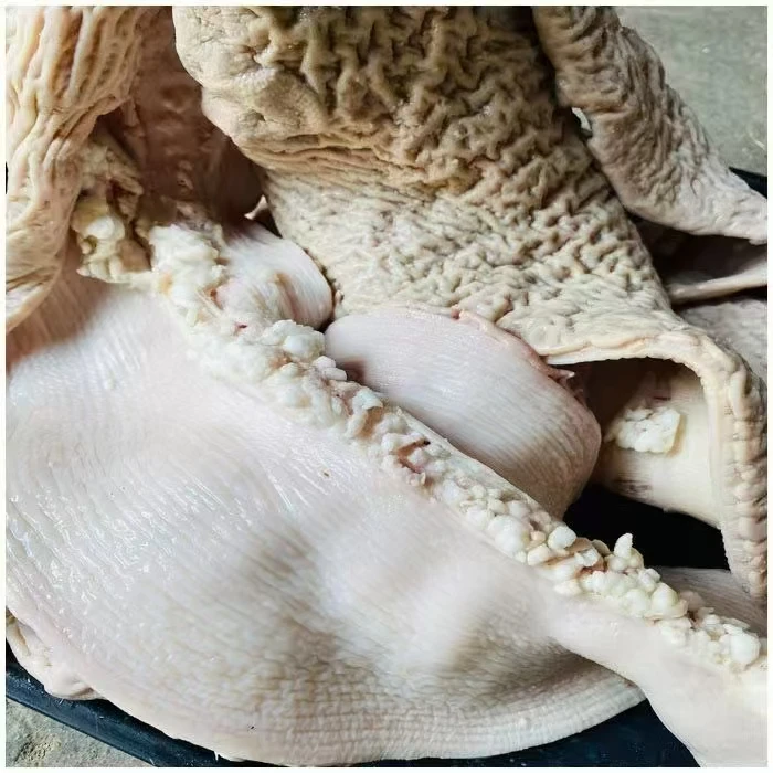 小黄牛 去油牛大肠 3斤（半熟 带料包）