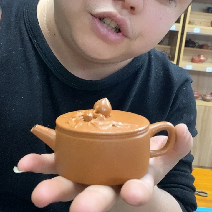 紫砂茶壶我儿天天天天发