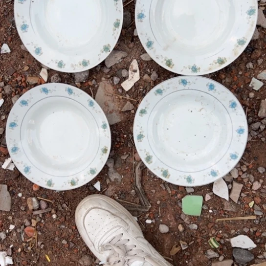 h***z杂色豆（科檀/科特迪瓦檀木）