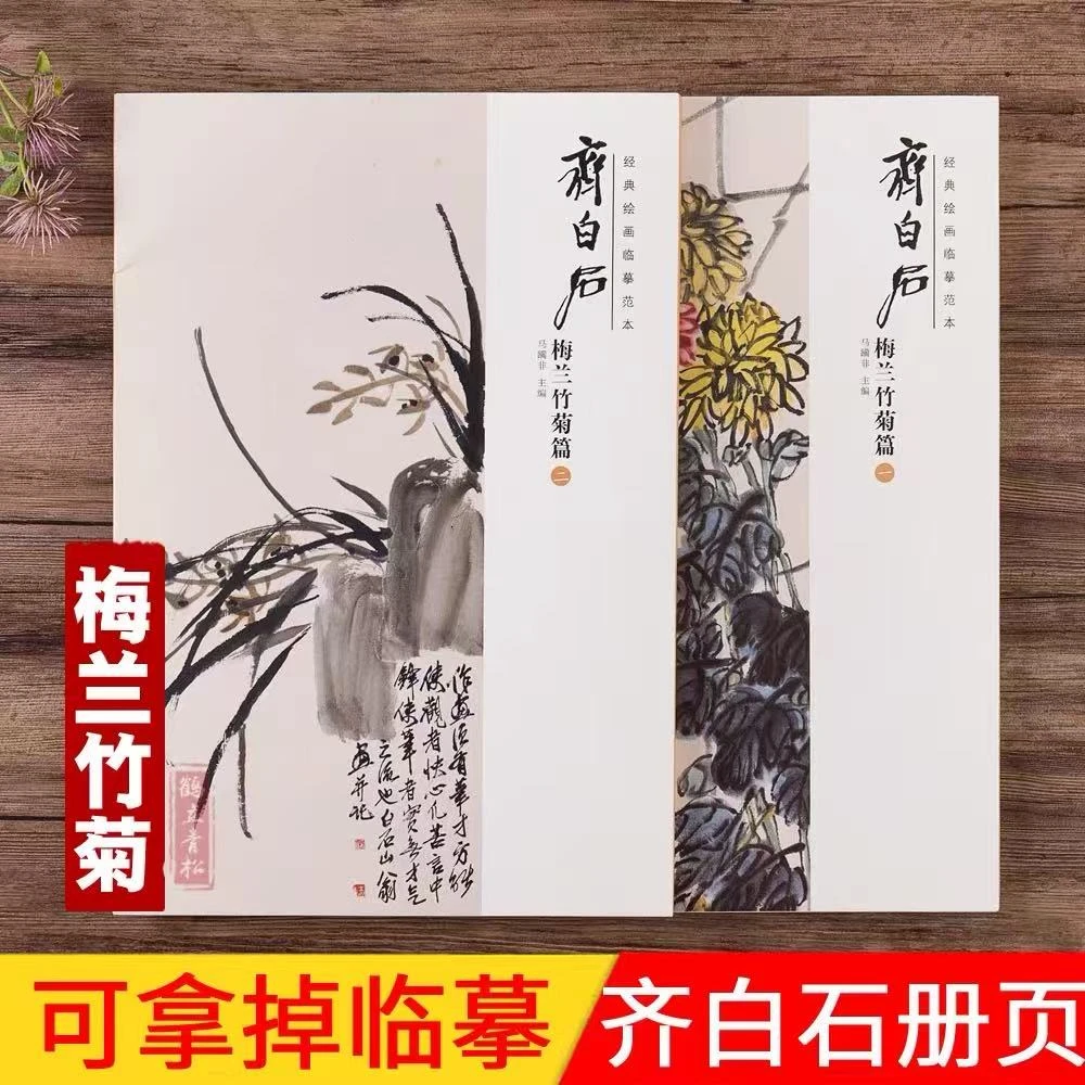 经典绘画临摹范本齐白石梅兰竹菊2本全套 安徽美术出版社