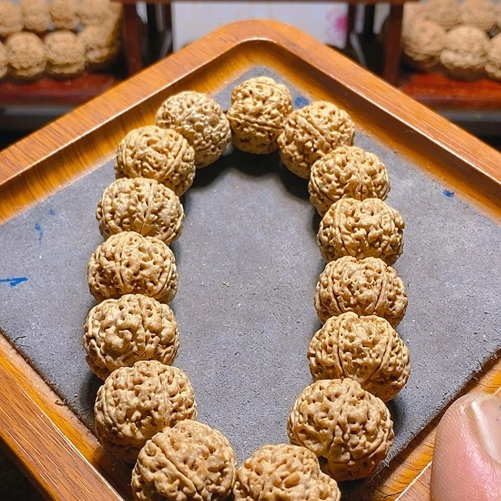 金刚菩提手串来**去古龙梅花