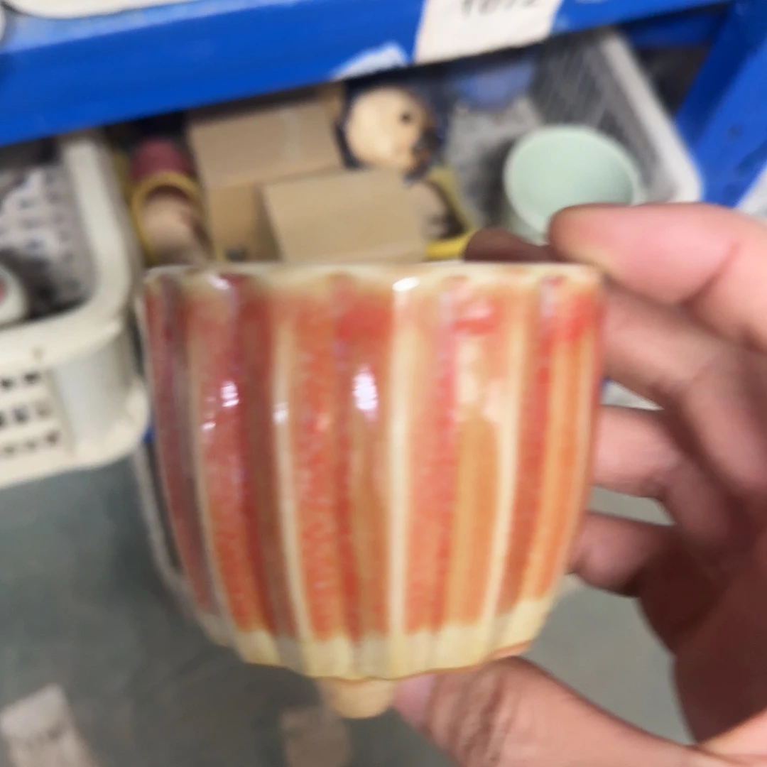 福利局绿植多肉盆［凑9元包邮24小时发］1072