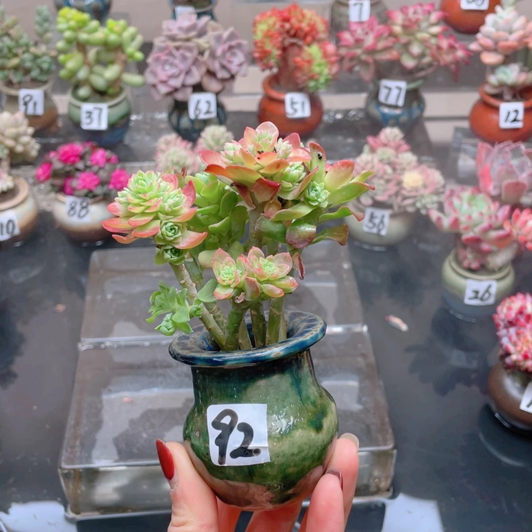 无铅玻璃乱***戏花器花器花器花器