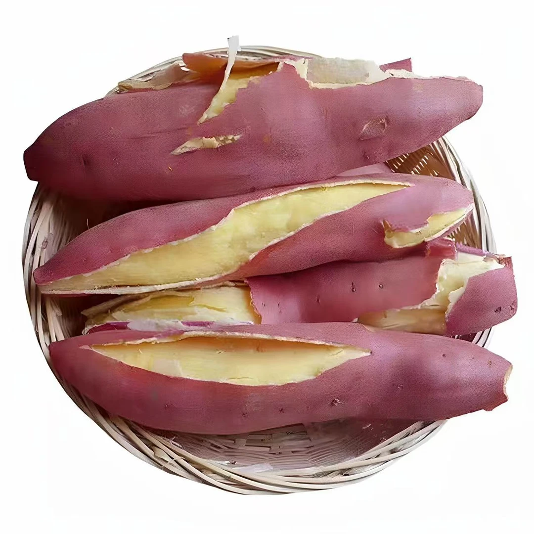 陕西正宗沙地现挖板栗红薯粉面甜糯有小时候的味道