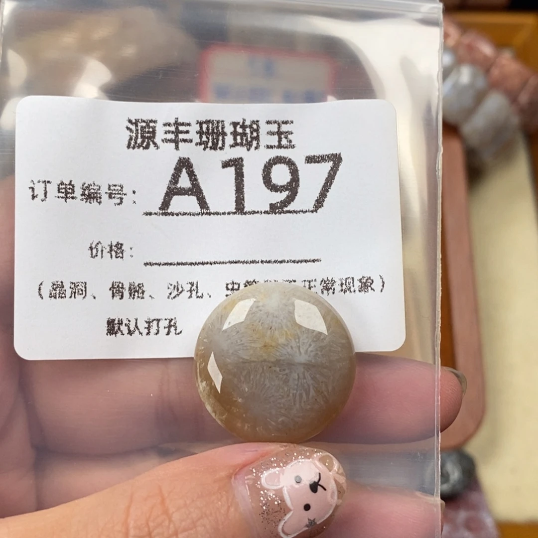 y***l未镶嵌颈饰硅化玉