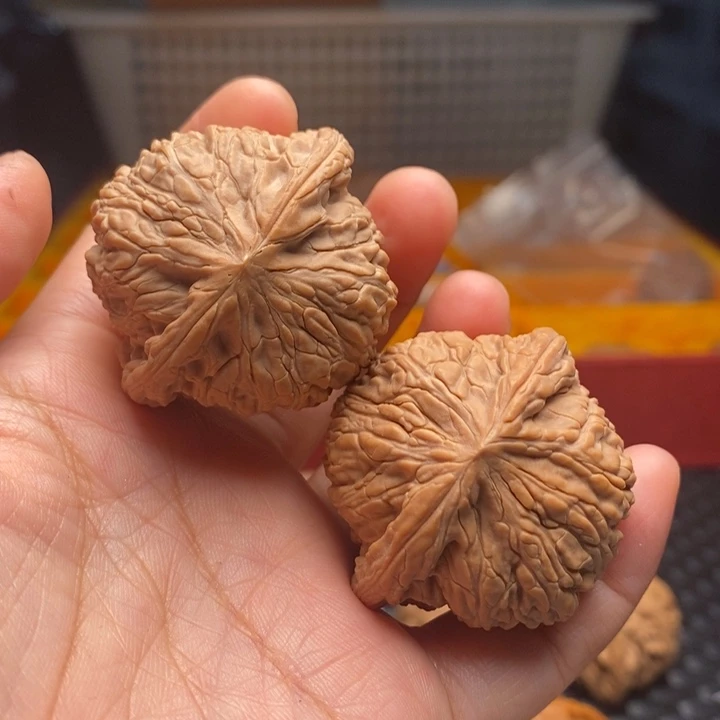 把件文玩核桃毕业泥鳅41尺