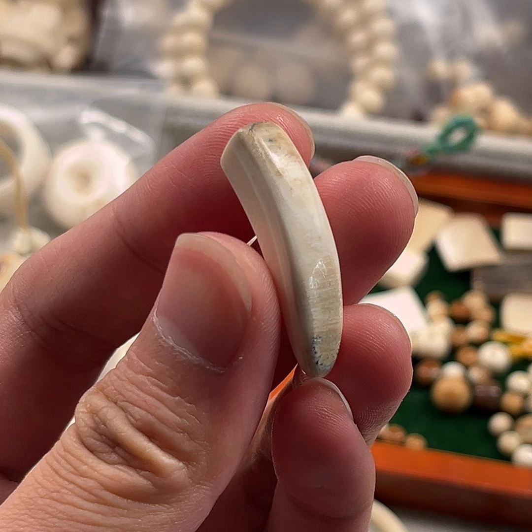 其他猛犸象牙35*8牙尖