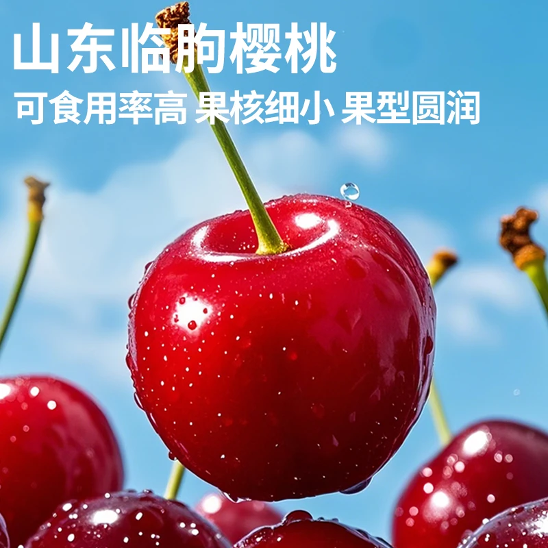 【京东现发】正宗头茬美早大樱桃新鲜爆甜多汁车厘子当季水果yy