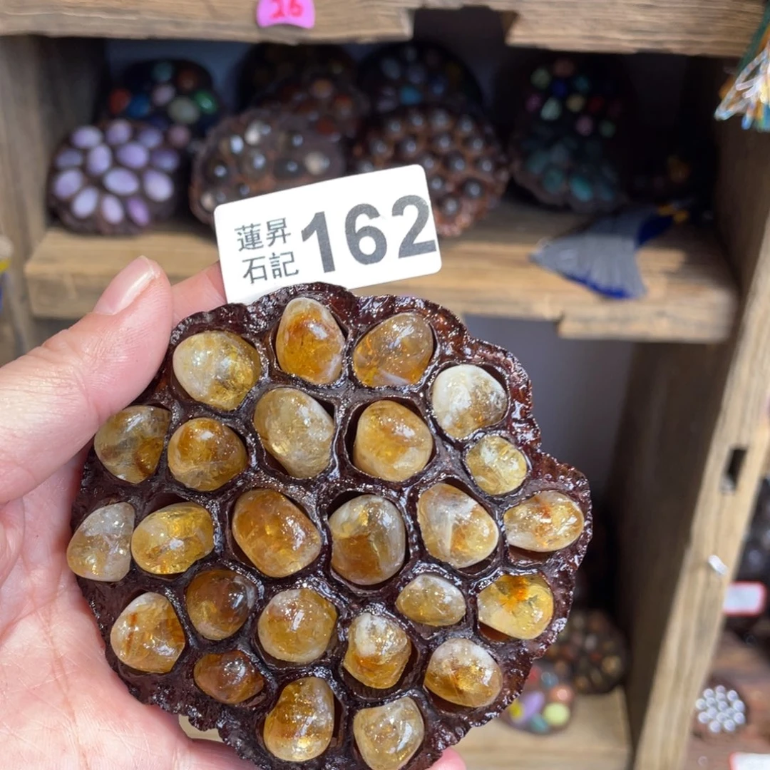 核桃木/黑胡桃（胡桃木）安****子162