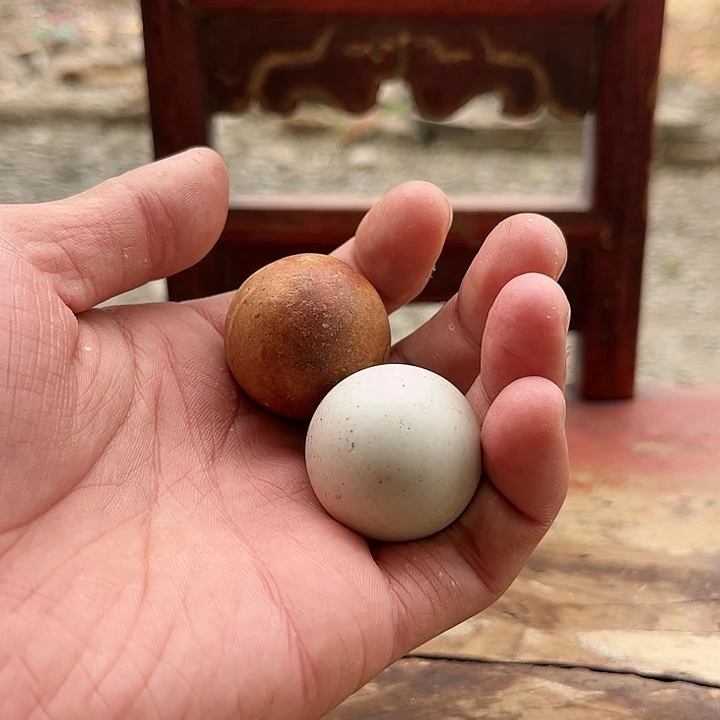 瓦当田**子72737737384884838383943