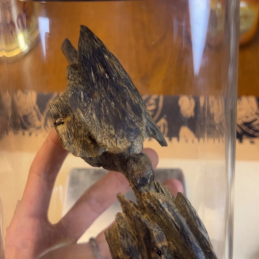 香薰条/棒棋楠沉香一代原木