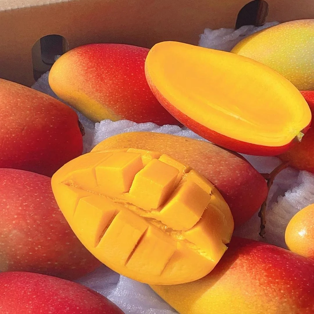 贵妃芒果新鲜现摘水果多汁树上自熟包邮