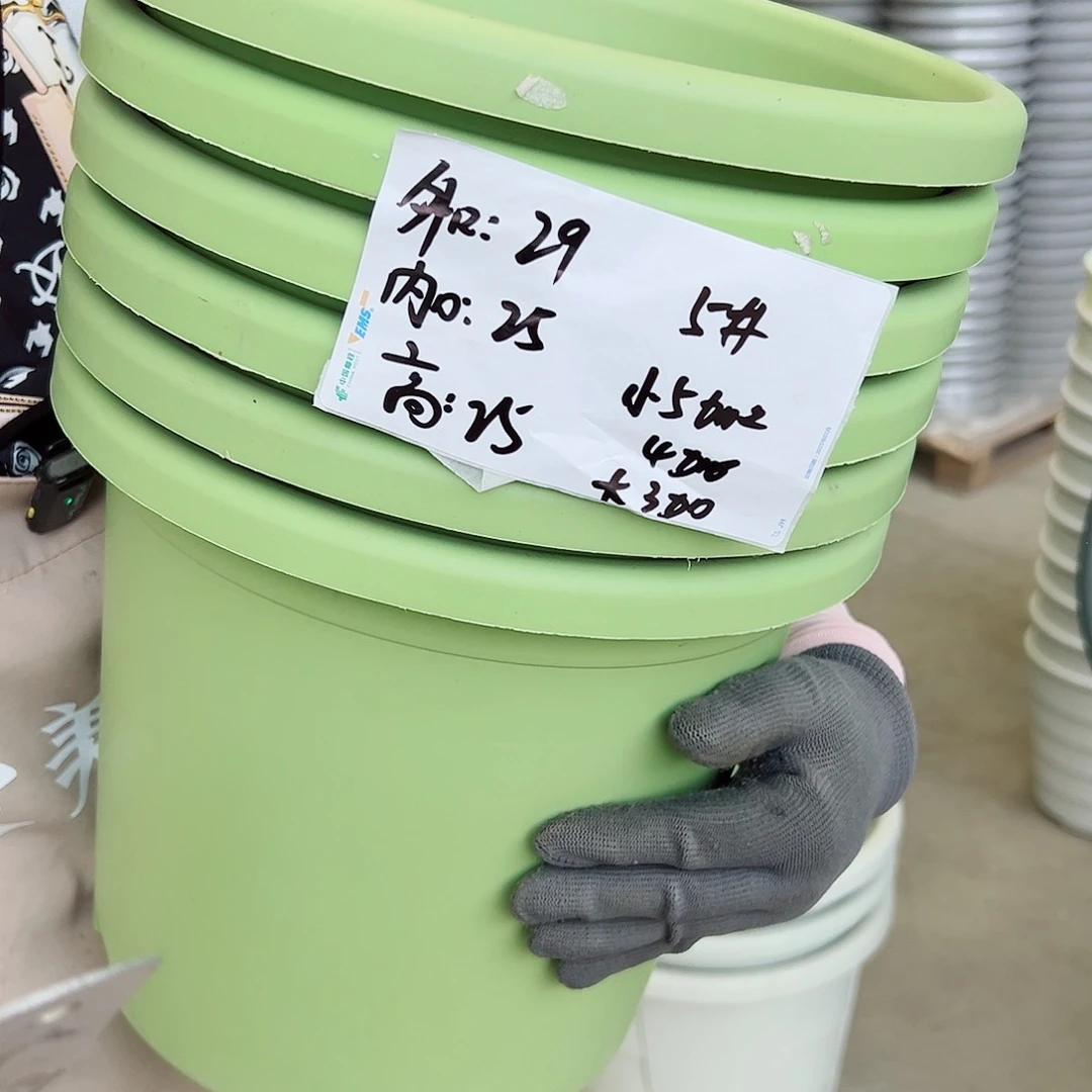 四季盆5#果绿色6个无托