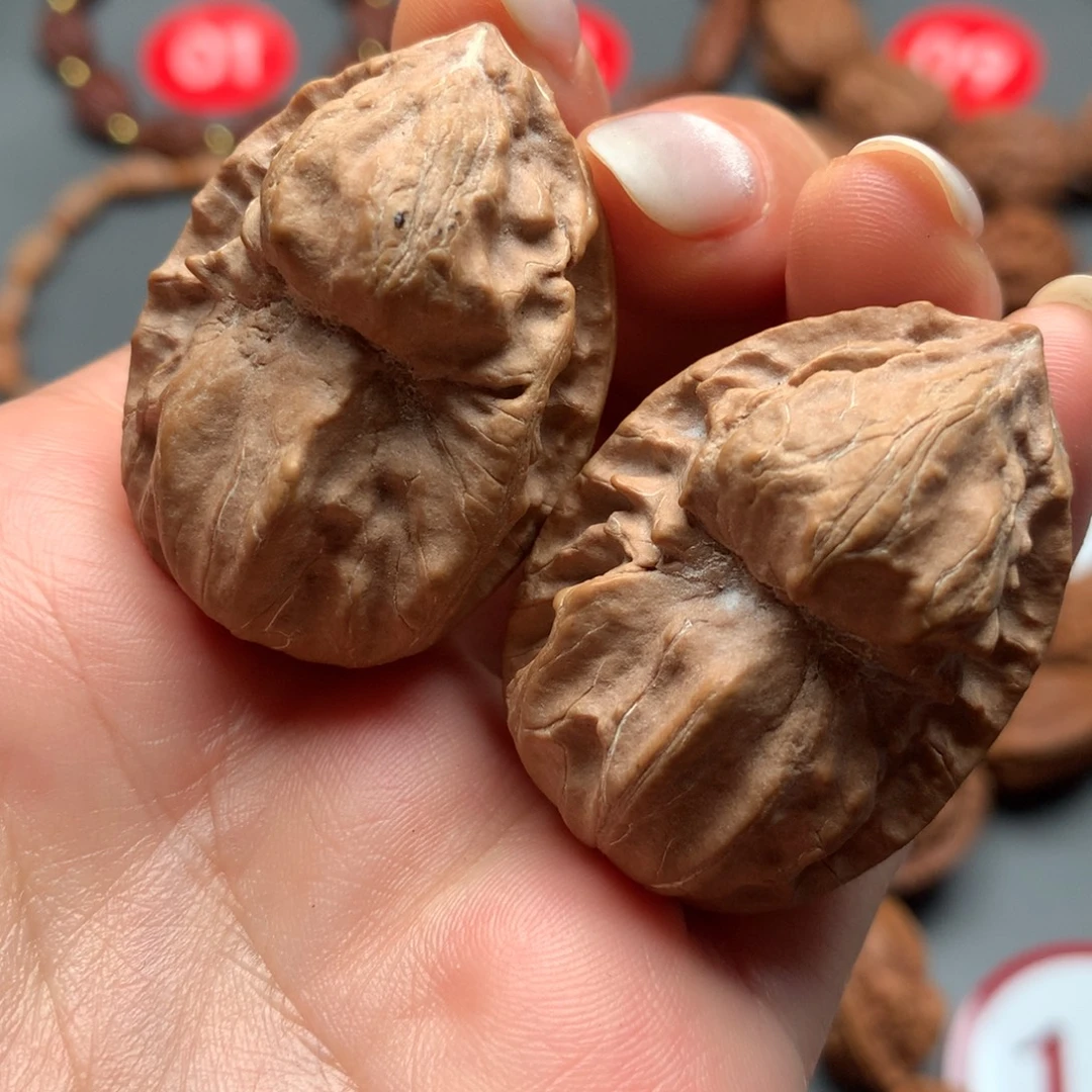 核桃75东北秋子寿星头鬼脸