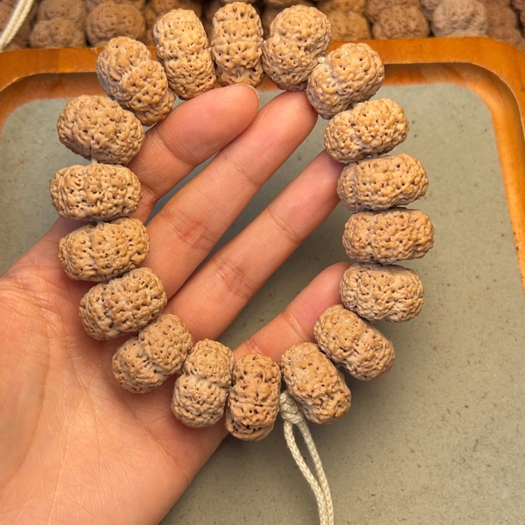 菩提12号金刚菩提夹板菠萝蜜24