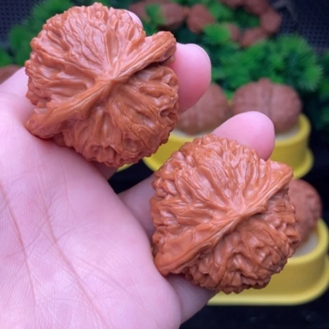 宫灯44精配精修11111111