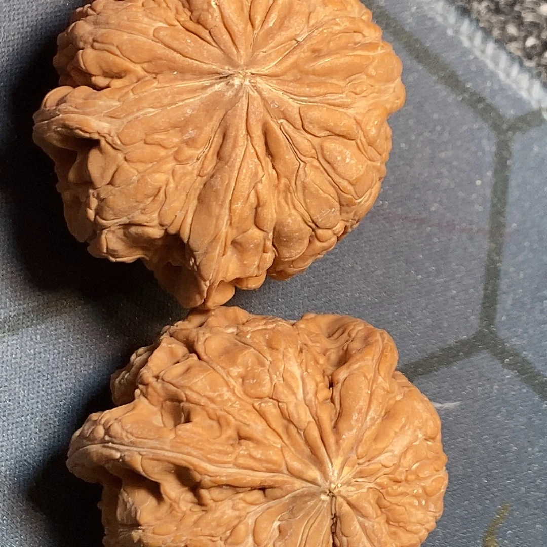 文玩核桃吊坠，测量