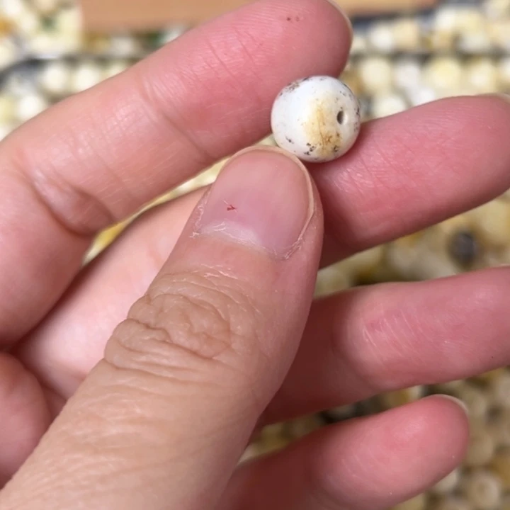 蜜蜡未镶嵌裸石9.9mm一个