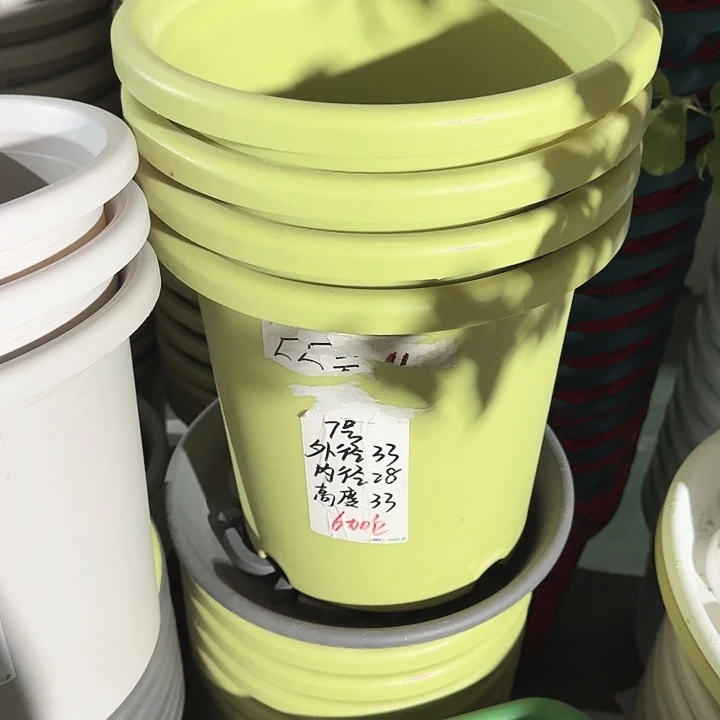 四季7#果绿6个无托