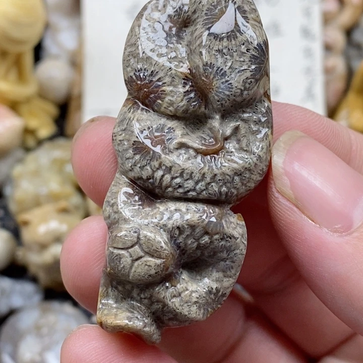 颈饰未镶嵌硅化珊瑚（珊瑚玉）